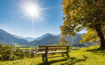 Blick ins Oberallgäu, eine Bank unter einem Baum im Vordergrund